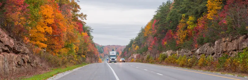 Heavy truck on the road